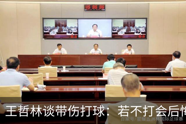 王哲林谈带伤打球：若不打会后悔 一辈子能有几次站在总决舞台上